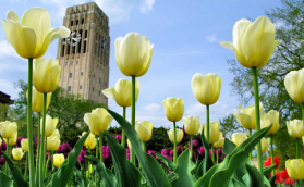 Screen Shot 2017-03-31 at 3.20.28 PM.png