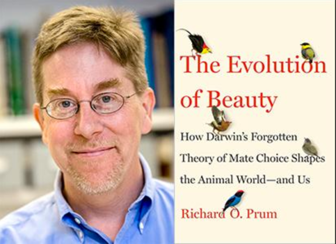 Screen Shot 2017-05-17 at 2.17.59 PM.png